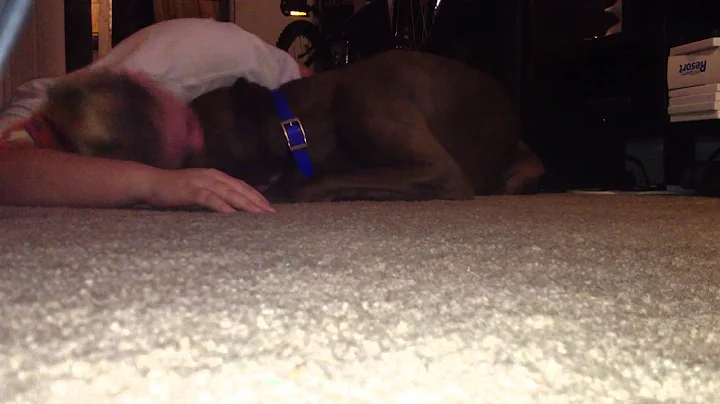 Service dog blocking handlers head during seizure