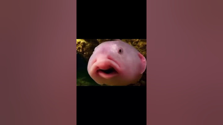 Рыба капля 🤣😂🤣😂😂🤣😂😂😂😂😂😂🤣🤣🤣🤣😂😂🤣🤣😂🤣🤣🤣😂😂🤣#shorts 😂😂😂😂😂😂😂🤣🤣🤣😂🤣