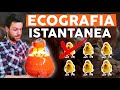 Come SAPERE quanti PULCINI NASCONO? SPERATURA uova