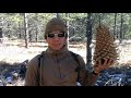 On the trail with andy tran from innerbark outdoors