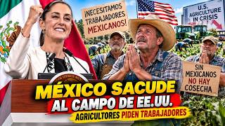 Mexico Shakes Up US Agriculture: Farmers Demand Workers