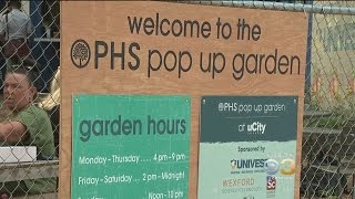 Pennsylvania Horticultural Society Opens Pop Up Beer Garden