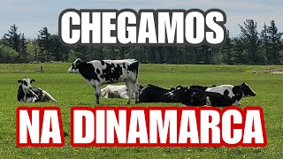 CHEGAMOS...Cacau Schwarz