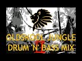 Oldskool Jungle Drum n Bass Mix Pt. II 94-95