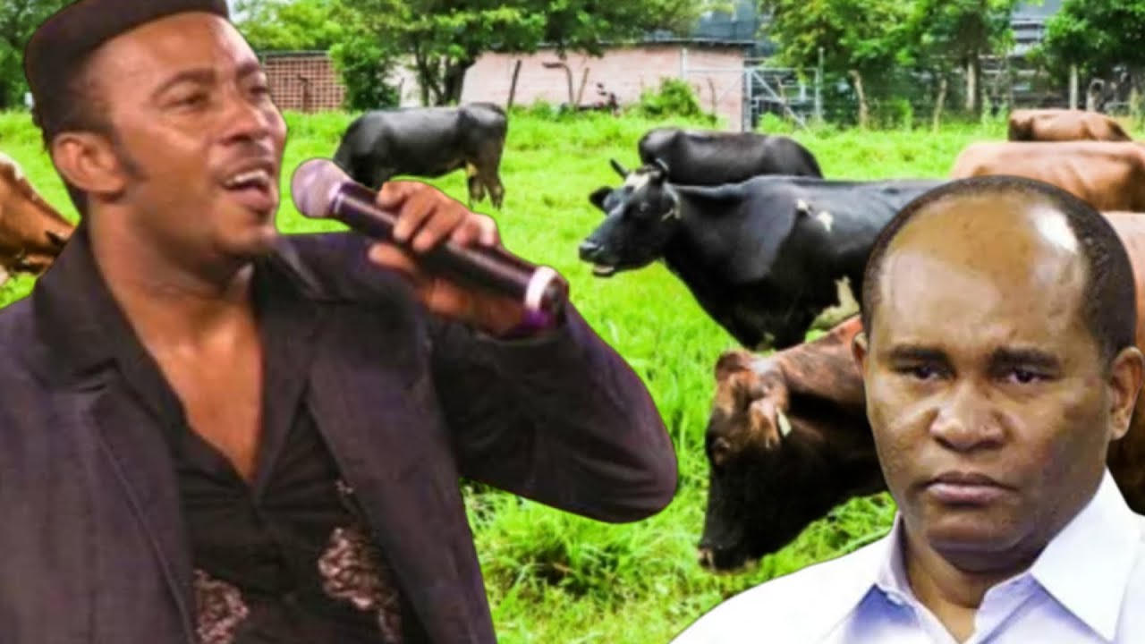 Anthony Santos sí cantó frente a vacas de Quirino Ernesto Paulino