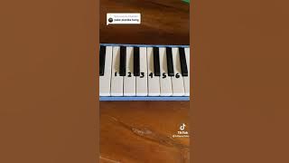 tutor basuri dari pianika