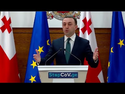 მზად ვართ ნებისმიერი მოლაპარაკებისთვის - ღარიბაშვილი  ბრიუსელში გამგზავერბაზე, მოლაპარაკებებზე