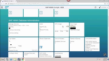 HANA Administration - Monitoring Performance & Role