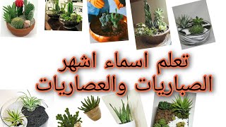 جولة  في حديقتي اسماء الصباريات والعصاريات مع كيفية العناية وتكاثر كل نوع على حدى