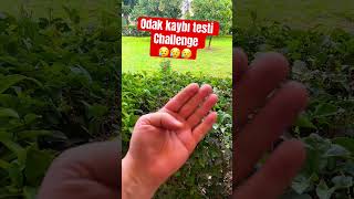 Hadi Sende Dene Yoruma Yaz