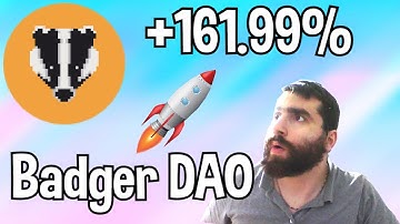 Badger DAO Is a steady Climber! Top Gainer on Coinbase today!