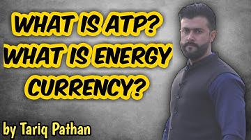 Chapter Bioenergetics | What is ATP | Why ATP is known as energy currency | Tariq Pathan