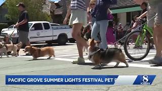 Pacific Grove celebrates annual pet parade with community fun