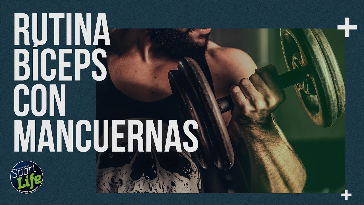 🔥Los mejores ejercicios para muscular bíceps 💪🏻 | SPORT LIFE