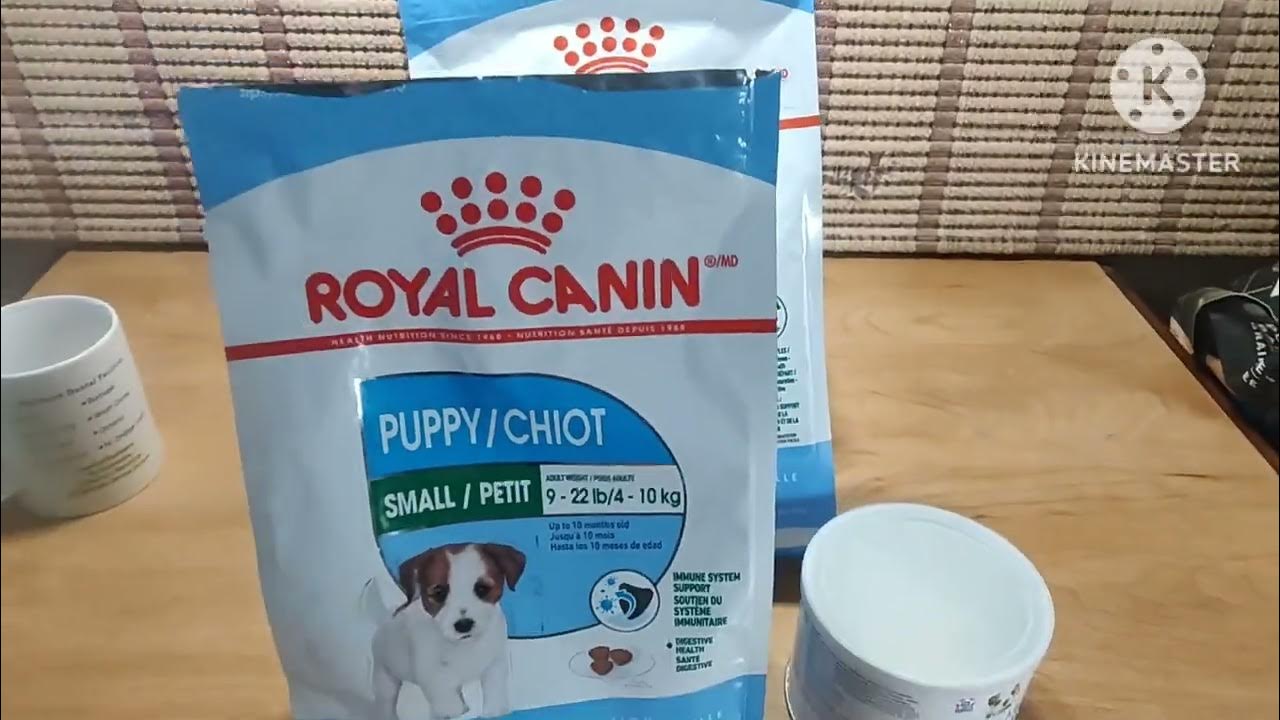 What to feed Morkie puppies.Royalcanindogfood Goatsmilk.ESBILAC YouTube
