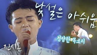 낯설은 아쉬움 -  진시몬 (1990.08.10) [가요 힛트쏭] | Jin Si-mon  [K-Pop Legend]