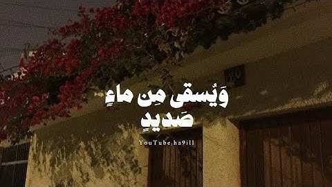 ﴿مِن وَرائِهِ جَهَنَّمُ وَيُسقى مِن ماءٍ صَديدٍ﴾ سورة إبراهيم.