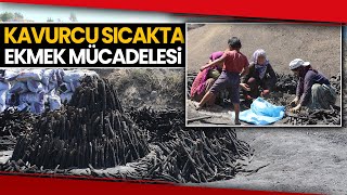 Mangal Kömürü Üretmek İçin Gece Gündüz Mesai Yapıyorlar