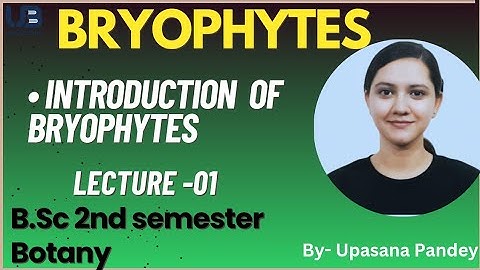 Introduction of Bryophytes | Bryophytes | BSc second semester Botany