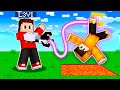 Encontramos a MELHOR ARMA DE GRAVIDADE do Minecraft ! (Gravity Gun)