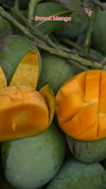 Sweet Mango 🥭 #live #new #viral #viralvideo