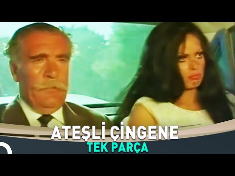Ateşli Çingene | Türkan Şoray Eski Türk Filmi