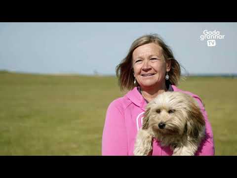 Video: Husdjur för äldre: Hur man gör det på rätt sätt