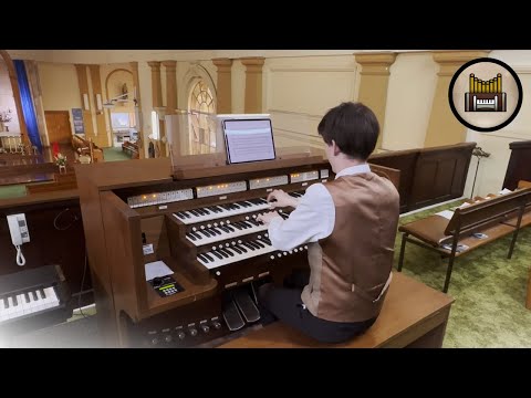 What Is A Real Organ Don T Let Your Bias Trick You