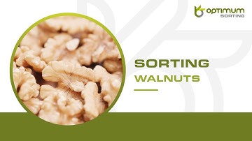 How to sort walnuts? | Optimum Sorting