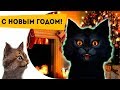 Ответы на вопросы 3 Поздравление с новым 2018 годом!