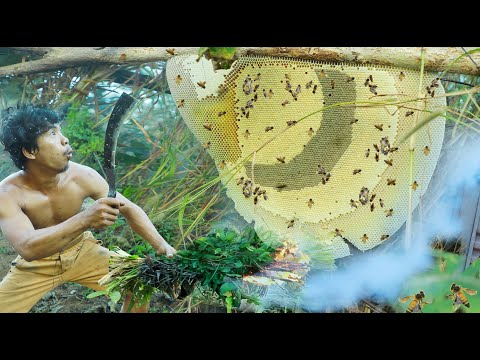 survival in the rainforest - Catching in River meet accidentally a large bee in the forest