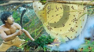 survival in the rainforest - Catching in River meet accidentally a large bee in the forest