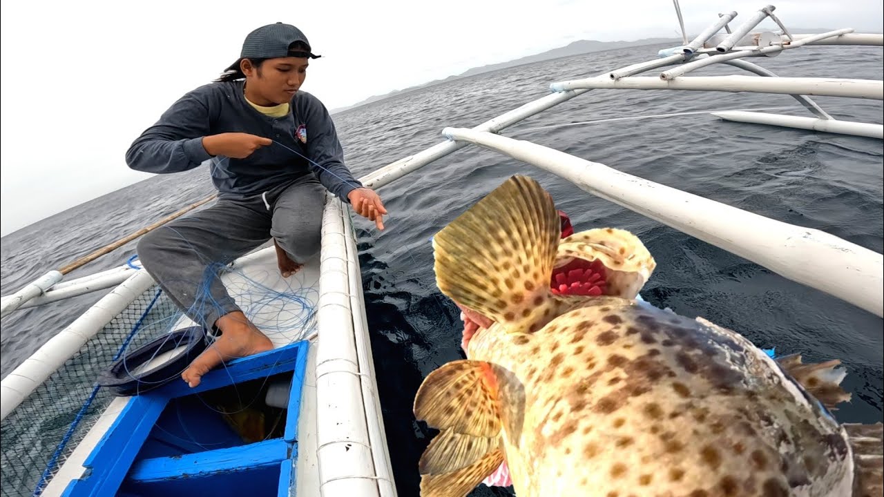 Nagulat Hindi inaasahang Giant Grouper ang bumungad!