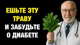 видео: Это распространённое растение снижает скачки сахара на 93% всего за несколько дней | д-р Алексей картинка: Это распространённое растение снижает скачки сахара на 93% всего за несколько дней | д-р Алексей