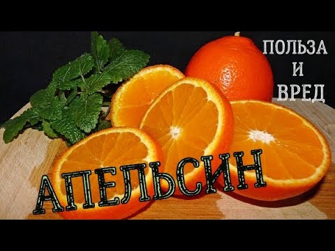 Кому апельсины? Кому витамины? Стоит ли апельсин включать в свой рацион