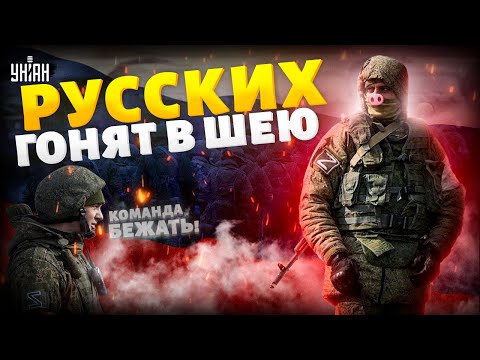⚡Началось! Русские БРОСАЮТ позиции под Сумами — бегут, сверкая лаптями