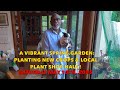 A Vibrant Spring Garden: Planting New Crops & Local Plant Shop Haul!
