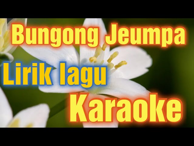 Lirik Lagu Bungong Jeumpa Karaoke dari Aceh @beranibelajar class=