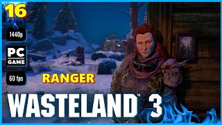 Vdeo Wasteland 3