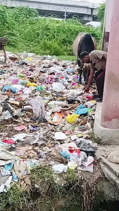 gay ko sab khila rehe h
