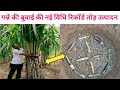 Ring Pit Method | गन्ने की रिंग पिट विधी से बुवाई कैसे करें / Sugarcan rig pit method in India