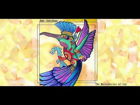 The Machineries Of Joy - Kale/ Inti Huasi