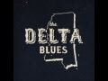 Delta blues  steve goudly