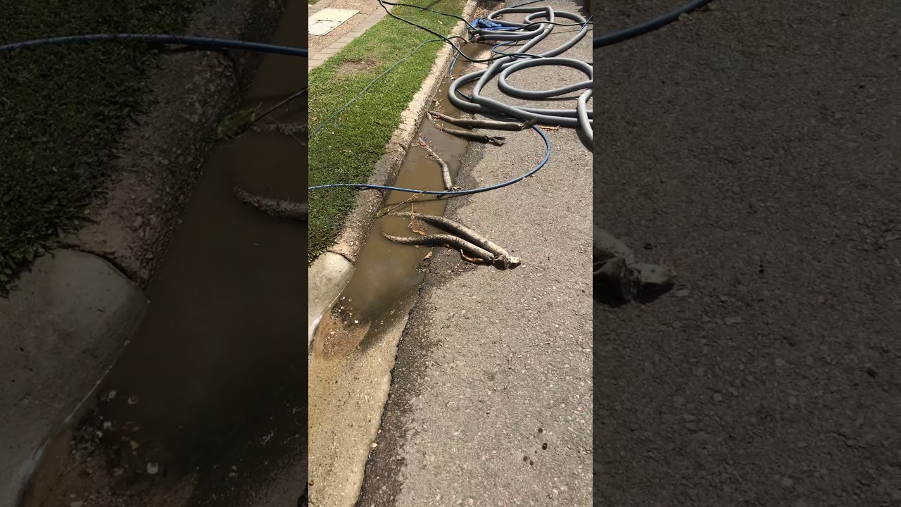 She can suck a golf ball through a garden hose YouTube