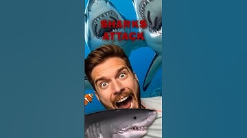 WHY YOU "NEVER IGNORE" Shark WARNINGS