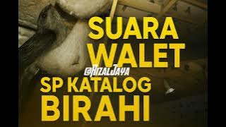 SP Katalog Birahi TERBARU! Suara Panggil Ampuh Tarik Walet Masuk Gedung Kosong