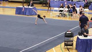Justin Macak -  Illinois State Meet 2019 - Floor Level 6