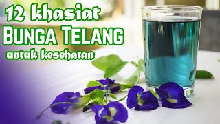 SEGUDANG MANFAAT BUNGA TELANG UNTUK KESEHATAN