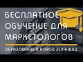 Маркетинг в Новой Зеландии. Грант на бесплатную учебу