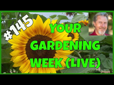 Video: Groundhog Day for Gardeners: Sådan får du din have klar til foråret